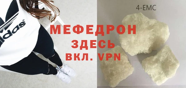 ГАЛЛЮЦИНОГЕННЫЕ ГРИБЫ Козловка