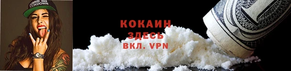 ПСИЛОЦИБИНОВЫЕ ГРИБЫ Костерёво