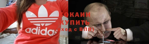 ПСИЛОЦИБИНОВЫЕ ГРИБЫ Костерёво