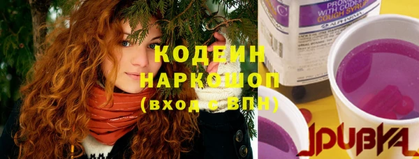 прущая мука Корсаков