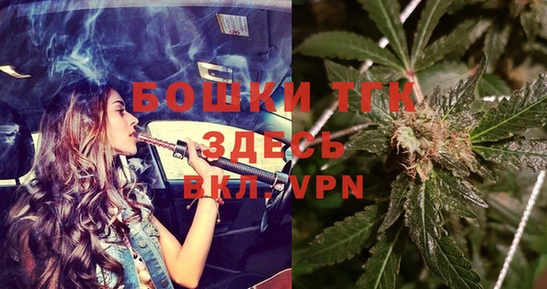 прущая мука Корсаков