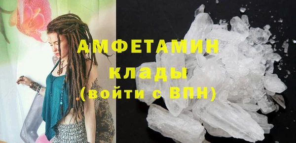 шишки Краснослободск