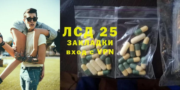 ПСИЛОЦИБИНОВЫЕ ГРИБЫ Костерёво