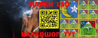 стафф Донской