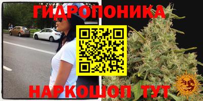 прущие крисы Дубна
