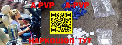 стафф Донской