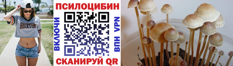 Галлюциногенные грибы мухоморы  Михайловка 
