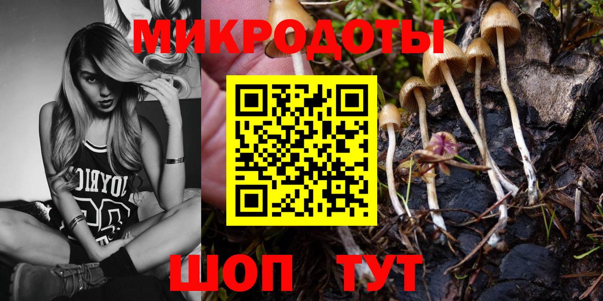 Псилоцибиновые грибы Psilocybe  Псилоцибиновые грибы мицелий  Вход с VPN  Михайловка 
